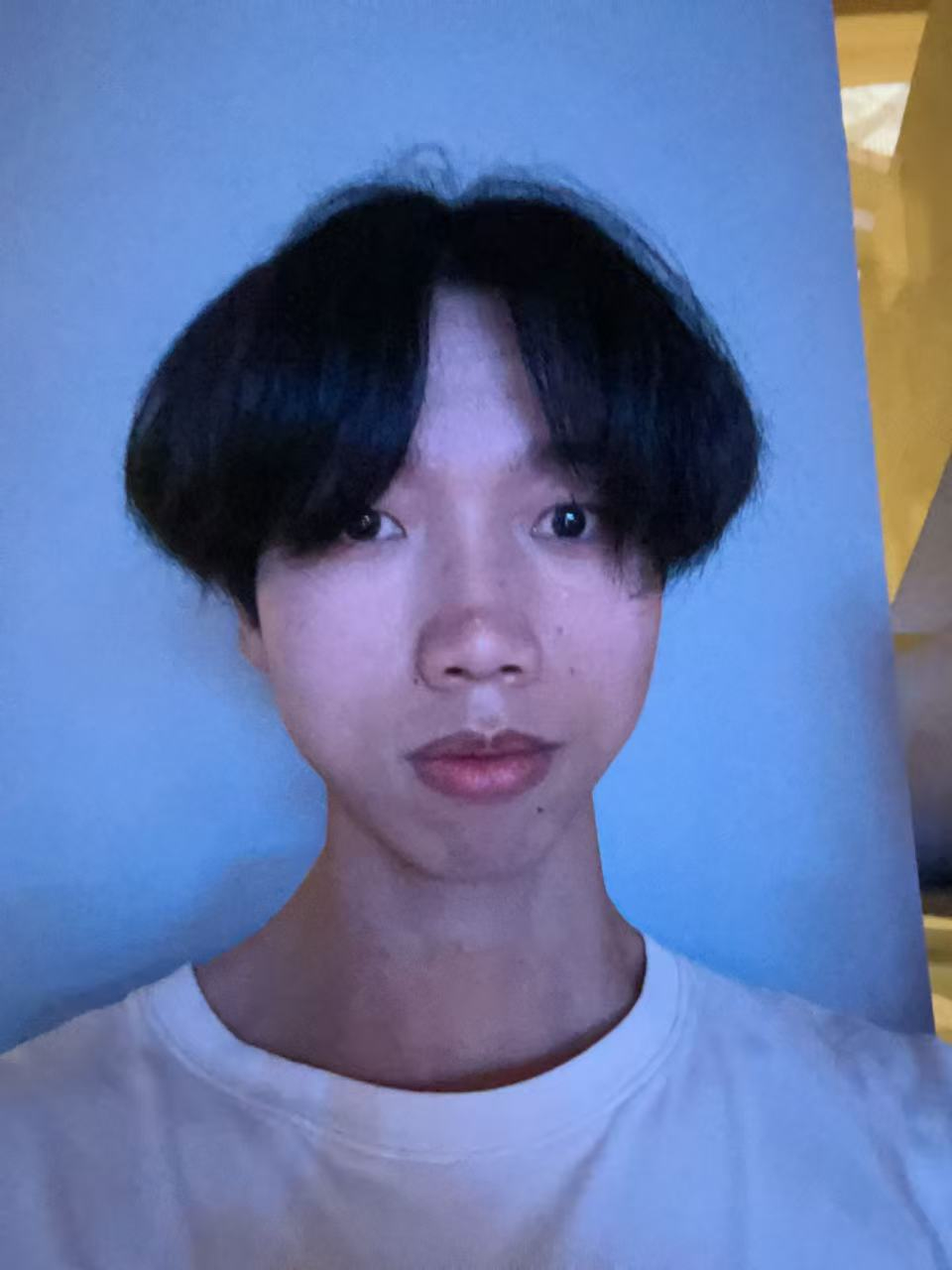 赖飞